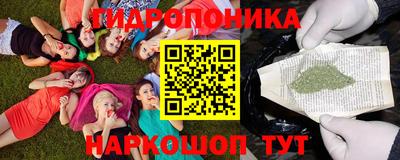 ALPHA PVP Тверь
